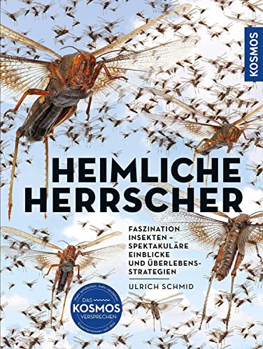 Insekten - Heimliche Herrscher: FASZINATION INSEKTEN –SPEKTAKULÄRE EINBLICKE UND ÜBERLEBENSSTRATEGIEN von Kosmos